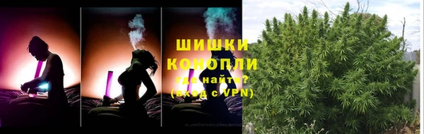 прущие грибы Бугульма
