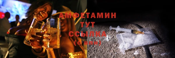 хмурый Бородино