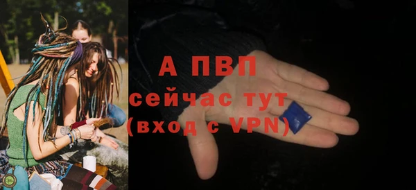 хмурый Бородино