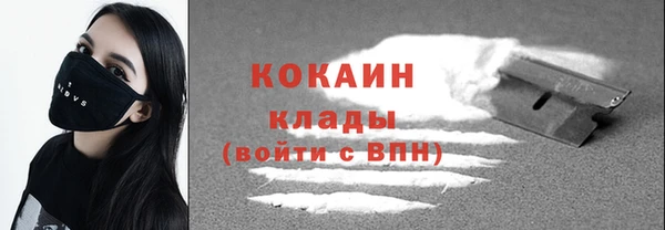 шишки Бронницы