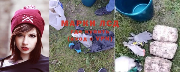 прущие грибы Бугульма