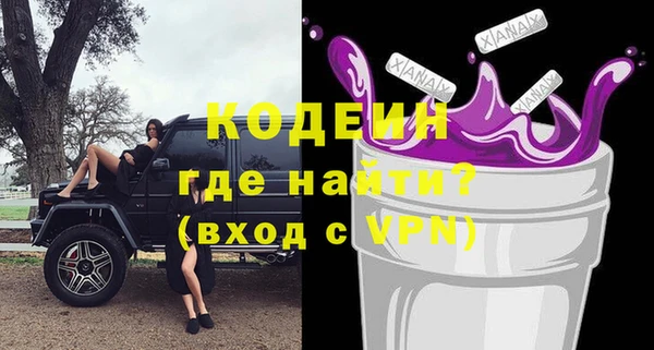 хмурый Бородино