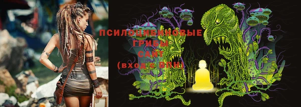 хмурый Бородино