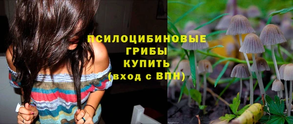 эйфоретик Верхний Тагил