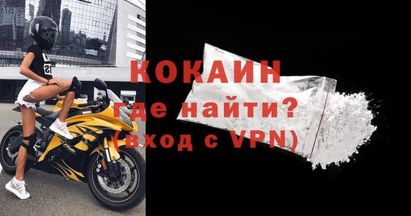 шишки Бронницы
