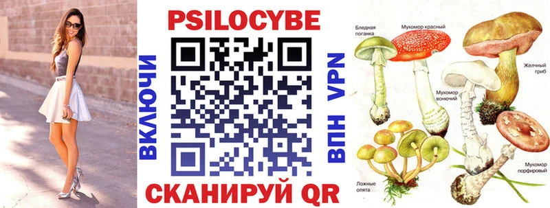 Псилоцибиновые грибы GOLDEN TEACHER  сайты даркнета какой сайт  Бийск 